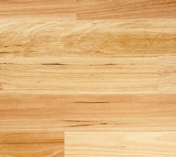 Stringybark